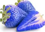 Green view Sweet Blue Strawberry Live Plant/Grafted Plant For Home Garden (Pack Of 1) (Blue Strawberry)