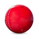 Tart Original Cricket Ball Wireless Bluetooth Speaker UltraBass Dhamaka Sound KW56