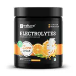 Wellcore Electrolytes | 5 Vital Electrolytes | Sugar Free | Sustained Energy | Keto Energy Drink