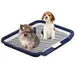 Qpets 65 X 50Cm Dog Poop Tray, Puppy Pee Poop Training Deck, Pee Pads For Dogs, Dog Pee Pads, Plastic Dog Pet Potty Indoor Training Toilet For Small And Medium Dogs, Easy To Clean