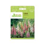 National Gardens Foxglove Flower Seeds (100 Nos)