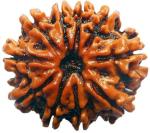Shivoham 10 Mukhi Rudhraksh Wooden Yantra
