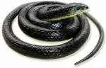 Koros Plastic Black Fake Snake Prank Realistic Rubber Pranktoy Gag Toy