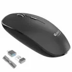 Quantum QHM 260 Wireless Mouse with Upto 12 Months Battery Life, Silent Keys (Black)