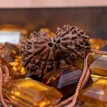 Feel Touch Mart Gauri Shankar Nepal Rudraksha Amazing & Awesome Combiand Original Rudraksha Best Nepal Pure Rudraksha Original Lab Certified