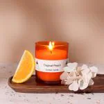 Stone & Feather, Tropical Peach Aromatic Candle (Orange) Parafin Wax, Long Burning Time-30-35 Hours, for Home Decoration, Aromatherapy, Diwali, Office Decor and Gift.