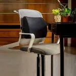 4V1 Orthopedic backrest Lumbar Support Pillow for Chair Car Backrest Cushion for Back Pain - UNISEX - BKRS-BLU-16