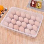 CARTIVA 32 Grid Egg Storage Box Egg Refrigerator Storage Tray, Stackable Plastic Egg Containers For Fridge Kitchen Size Of (31x23x6) Cm (1pc)