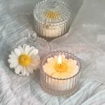 CANDLE_CABINETS Daisy flower aroma candle, Floral scented candle, Daisy candle, Flower fragrance candle, Aromatic flower candle