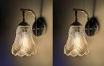 Arus Glass, Metal Clear Pendant Wall Lamp (Pack of 2)