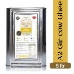 Vrutalay A2 Gir cow ghee 5 Liter | Lab Tested | Perfect Aroma & Danedar Ghee | Curd-Churned | No Added Color and Preservatives, No Added Fragrance |Vedic Ghee | A2 Ghee Bilona Method | Desi cow ghee | Organic Ghee | Tin Pack 5 Ltr Tin .