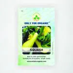 Only For Organic Hybrid Squash Seed (10 Nos)