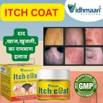 Vidhmaan AYURVEDA ItchCoat AntiFungal infection Malam for-Ringworm, Skin Infection (22 g)