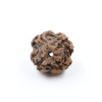 Sharvv 4 mukhi Rudraksha Bead Rudraksha Bead Natural Rudraksha Religious Rosary Bead | Positive Effect | Unisex Both for Men & Women