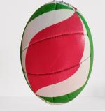 BIGPRINT SPORTS BPS VOLLEYBALL Volleyball - Size: 4 (Pack of 1)