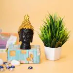 Dekorly Resin Black Lord Gautam Buddha Head Idol Facedivine Murti With Free Artificial Grass Plant