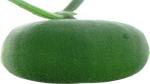 PLATONE Winter Melon Seeds - 10 PCS(Pack Of10 pcs)