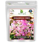 SOVATA Bougainvillea Flower, Powerful Organic Fertilizer for Fast Growth and Heavy Flowering of Bougainvillea Plants(200gm)