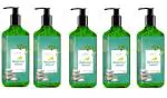 SORTH LUXURIOUS Bahamas Island Gel Hand Wash | Germ Protection - 250 ML | Pack Of 5