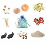 DEVAMA THE DIVINE Devi Sri Guru Ji Set, -2 Devil Pods/Evil Pods, 2 Yedamuris, 2 Balamuris, 2 Mutyapu Shankus, 5 Laxmi Gavvalu, 11 Gomathi Chakralu, with 20 GMS Aaravali Kumkum