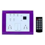 Artistic Device of letters C and L Remote Controlled Switcher for 4 lights and 1 Fan Purple
