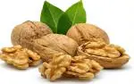TR69 walnut 1kg