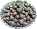 Kotaliya Kamal Gatta Kamal Beej Plant Seed Lotus Seed Seed (100 Per Packet)