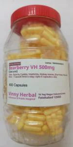 Bearberry DH Herbal Supplement Capsules 600 Caps Jar - DoctorKC Herbal