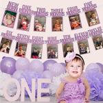 HK balloons 1-12 month frame photo banner for first birthday Baby Photo Frame 0 to 12 Months Banner Monthly Milestone Photo Bunting with Front Side Photo Space for First Birthday Party Decoration-Pink