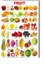 Surmul Multicolor Sunboard Medium Learning Book Of Fruit Name Attractive Shape Books Chart Self Adhesive Sticker