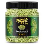 natural n TastyLucknowi Saunf jar pack of 1kg|Barik Saunf |Fennel Seeds |Mouth Freshner Saunf Digestive, After-Meal Snack