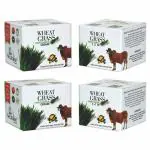 Neutralise ; Naturals Organic Wheat Grass Moisturiser Cream Psoriasis and Eczema Relief 200 g (Pack of 4)