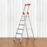 Prestige CleanHome PCIL 6 Steps Household Ladder