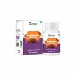 Zindagi Ganoderma Pure Extract Capsules | Helpful In Weight Management | Antioxidants For Healthy Body | 60 Capsules