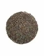 Green World Drought Resistant 28 Variety Pusa Mustard Seeds - 10 kg