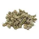 Kapebonavista Bara Gokhru Gokhura Kadva gokhru Gokhara Big Pedalium Murex Large Caltrops 100gram