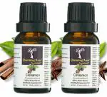 Charming Aura Pack of 2 Cinnamon Essential Oils- Pure & Natural- Therapeutic grade Dalchini oil for Skincare, Haircare, Pain Relief (Cinnamon (15ml + 15ml))