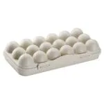 Prayas 18 Grid Cream Plastic Rectangular Shape Egg Box with Lid 30 cm