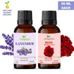 Homeda Lavender and Rose Essential Oil for Hair Growth, Diffuser, Sleep, Skin, Face, Body, Soap Making, Massage, Bath water - Rose oil (Gulab) Diffuser Oil for Home fragrance - 30ml each