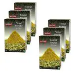 Burhani Foods Fennel Powder 100 g (Pack of 6) - Pure, Flavorful & Aromatic