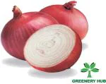 Greenery Hub Organic Onion Seeds (10 Per Packet)