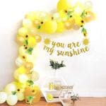 Party Propz Latex, Rubber, Foil, Paper 1St Birthday Sunflower Theme Birthday Decorations Kit (Set Of 51)