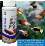 AKSHAT ENTERPRISES BACTONIL_FW-60 ml Anti Bacterial Effective Fish Skin Treatment Bactonil Freshwater Aquarium Medicine