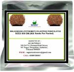 MGBN THE PATH FOR THE HEALTHIER LIFE WITH BEAUTY Malkangani - Jyotishmati - Celastrus Paniculatus Seed - 500 g (800 Seeds per packet)