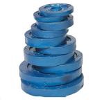 Body Maxx Iron 22 Kg Cast Iron Weight Lifting Plates