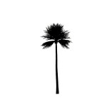 SIMPLY INKED Palm Tree Temporary Tattoo, Designer Tattoo for all (Palm tree tattoo) Pack of 2