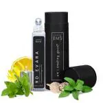 EM5 RD Evara Perfume Roll On for Men Alcohol Free Concentrated Oil Aromatic Citrus Woody, 10 ml