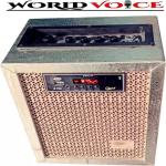 World Voice Beige Stereo Channel 35 W Bluetooth Home Audio Speaker