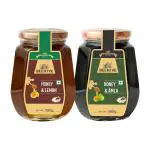 Beehive Lemon Honey and Amla Honey 100% Pure Natural Honey Immunity Booster (500 g each) Glass Jar (PACK OF 2)