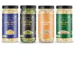 Nayanvati Raw Seeds Combo Pack for Eating Muskmelon, Watermelon, Pumpkin , Sunflower Seeds (100 gm each) - Healthy Snacks Diet Food High in Protein - 400 gm